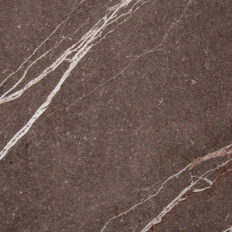 Серый пульпис