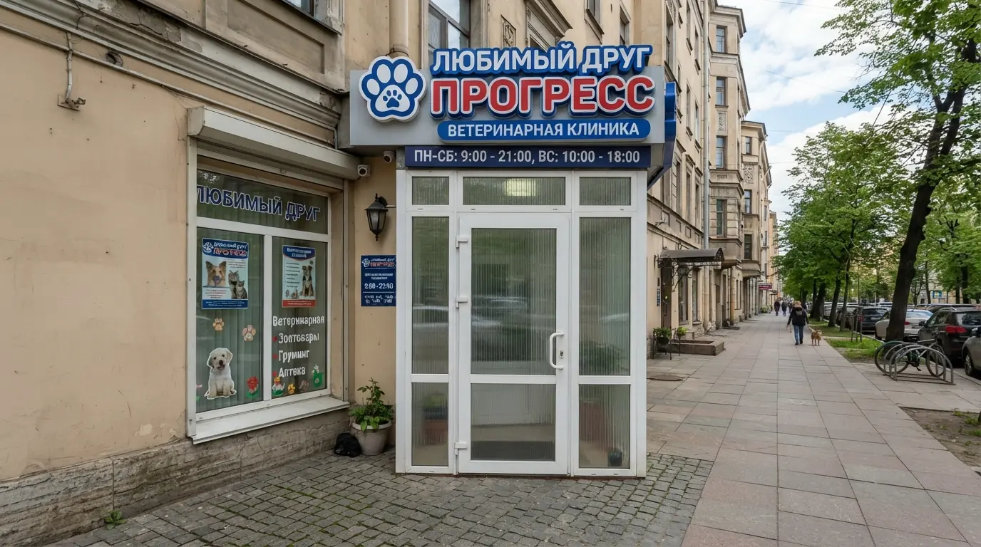 ПВХ входные группы в интерьере
